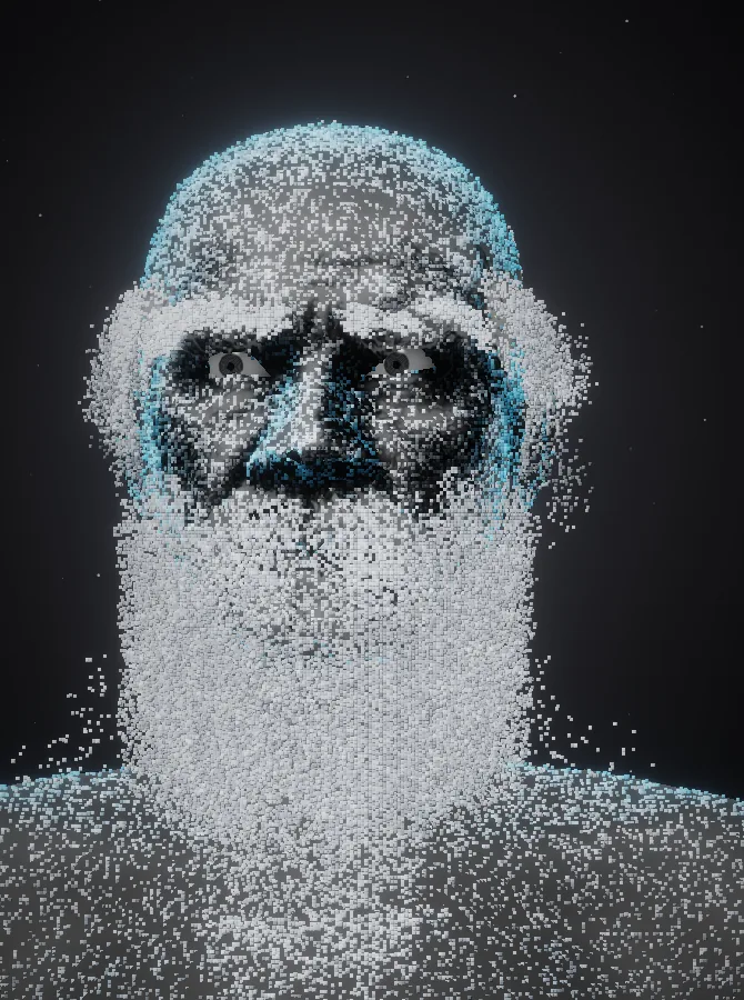 Micro-voxel look