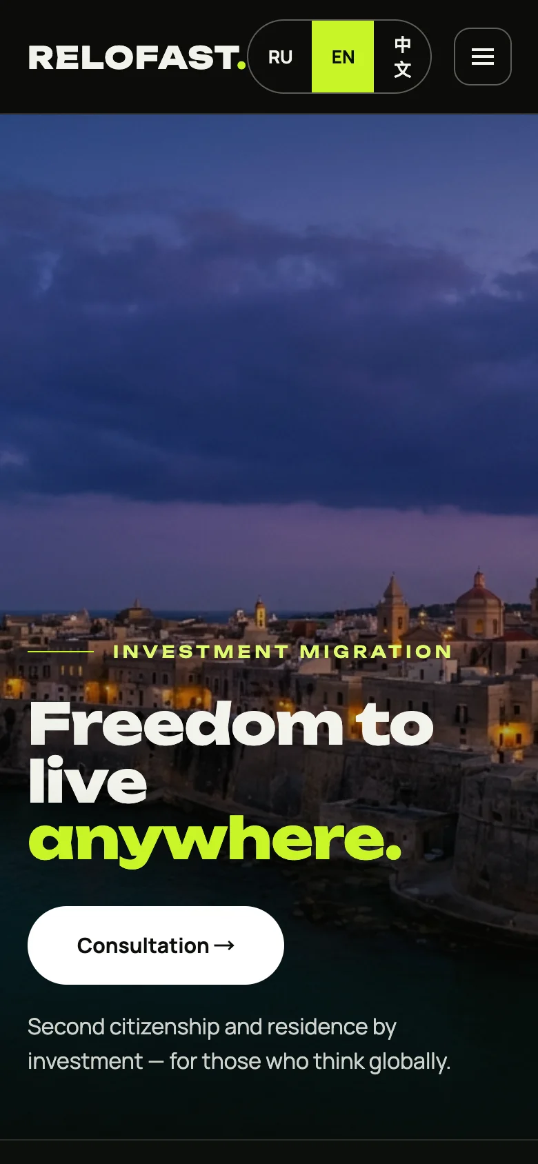Home page on a 390 px phone